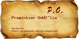 Promintzer Odília névjegykártya